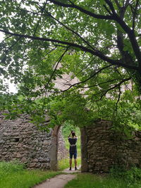 Rear view of man standing by tree