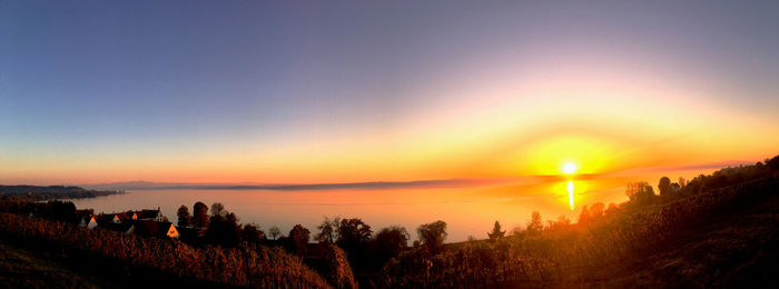 Scenic view of field against sky during sunset