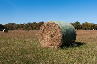 Round hay bale in a farm field on a sunny afternoon.