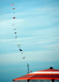 Low angle view of airplane flying in sky