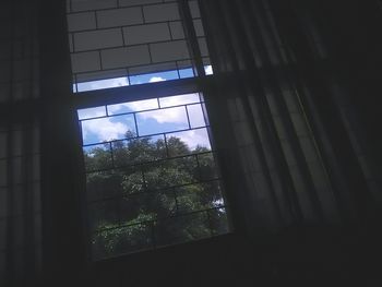 Low angle view of trees against sky seen through window