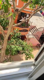 High angle view of potted plants in building