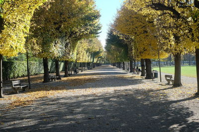 Empty footpath in park during autumn