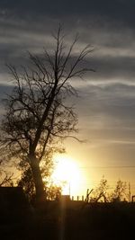 Silhouette tree against dramatic sky during sunset