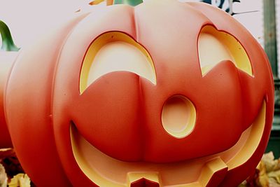 Close-up of red flowers