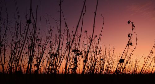 Silhouette landscape against orange sky