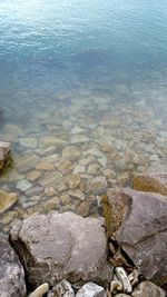 Rocks on beach