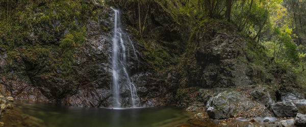 Scenic view of waterfall in forest