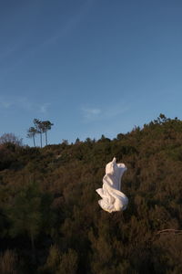 View of person on field against sky