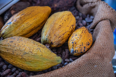 High angle view of cocoa