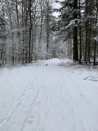 Snow covered road amidst trees during winter