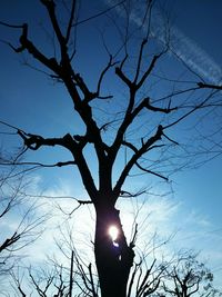 Low angle view of silhouette bare tree against sky