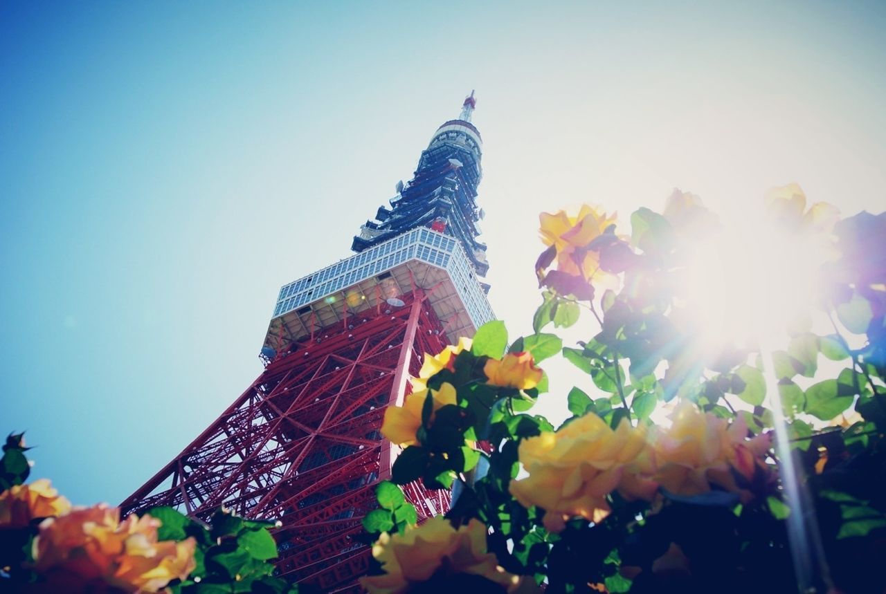 low angle view, clear sky, sun, sunlight, sunbeam, lens flare, built structure, architecture, flower, blue, leisure activity, amusement park, amusement park ride, sky, sunny, outdoors, day, bright, famous place