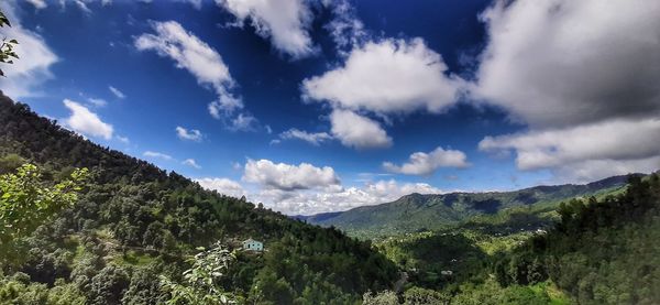 Low angle view of trees on mountain against sky