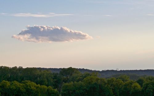 Scenic view of trees against sky during sunset