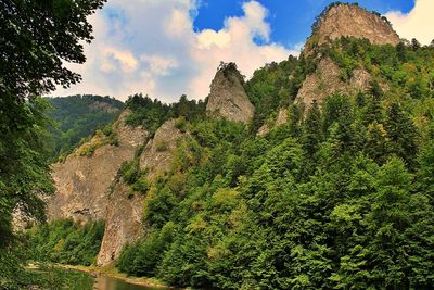 Panoramic view of trees and mountains against sky