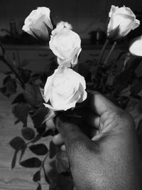 Close-up of woman holding rose