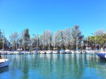 Sailboats moored in lake against blue sky