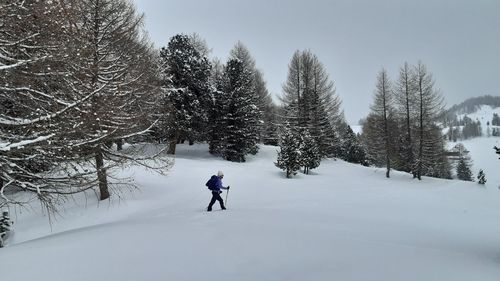 Person skiing on snowcapped field during winter