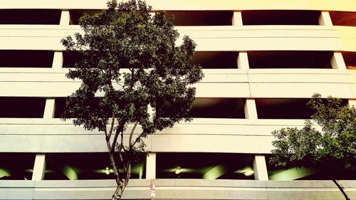 Low angle view of tree against house