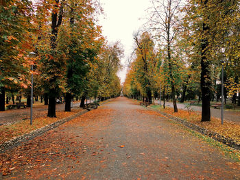 Footpath amidst trees during autumn