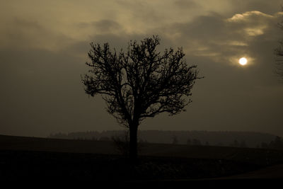 Silhouette bare tree on field against sky at sunset