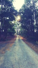 Road amidst trees in forest against sky