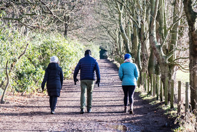 Rear view of people walking in forest
