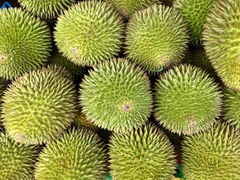 Full frame shot of durians for sale at market