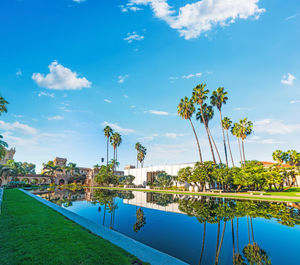 Plants by swimming pool against sky