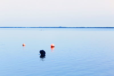 View of two people in the sea