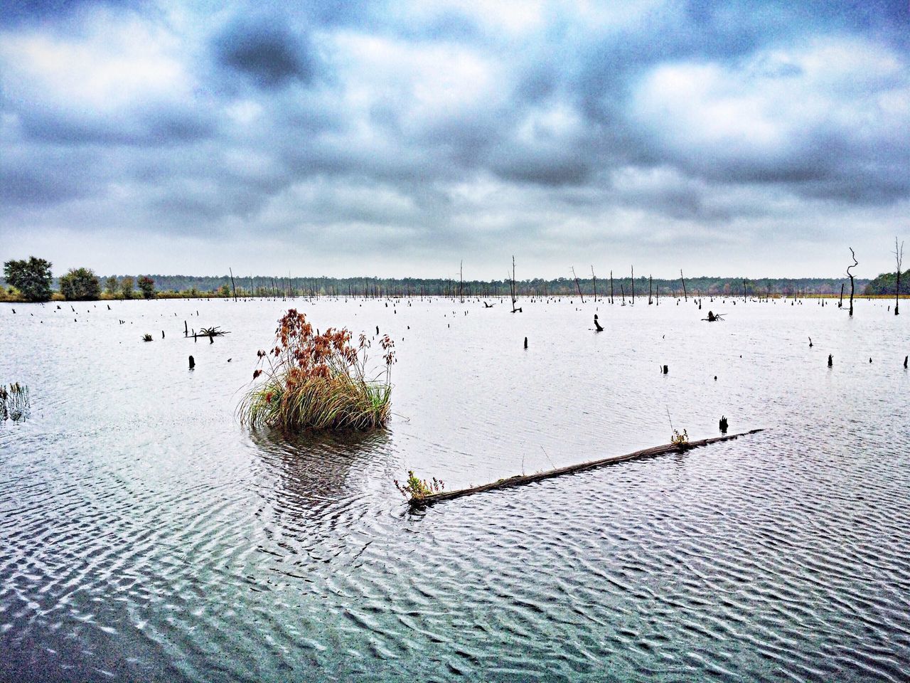 Franklin Parker Preserve