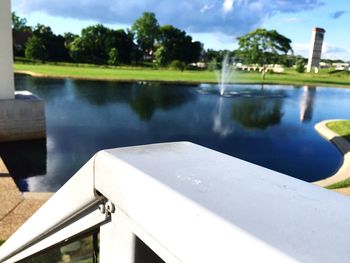 Reflection of trees in water