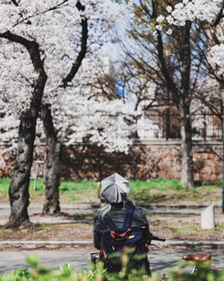 Rear view of woman standing in park