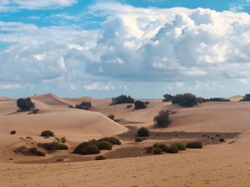 Scenic view of desert against sky