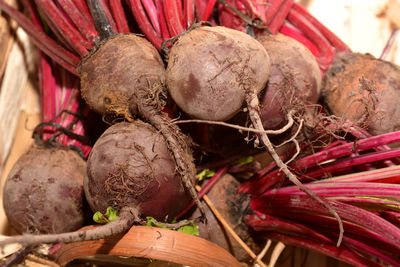 High angle view of vegetables in basket