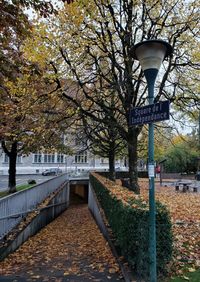 Street lights in park during autumn