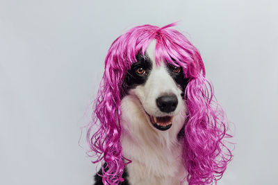 Close-up of woman with dog against white background