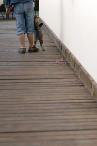 Low section of woman with dog walking on wooden floor