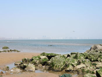Scenic view of sea against clear sky