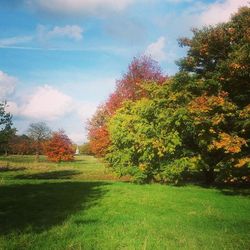 Scenic view of grassy field against cloudy sky