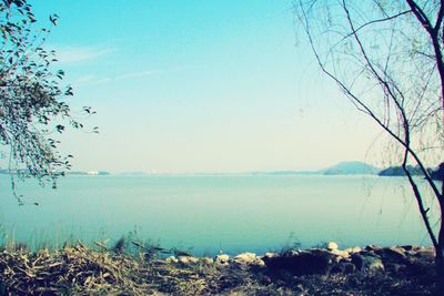 Scenic view of lake against clear blue sky