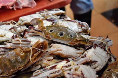 Close-up of fish for sale in market