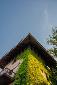 Low angle view of building against blue sky