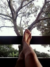 Low section of woman relaxing on tree trunk