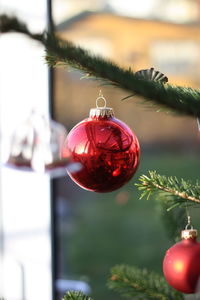 Close-up of christmas decorations hanging on tree