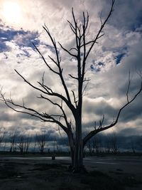 Scenic view of landscape against dramatic sky