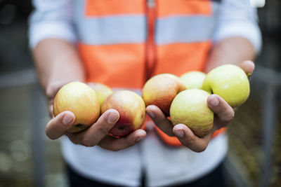 Man wearing safety vest holding fresh apples