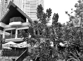 Houses and plants in yard against sky