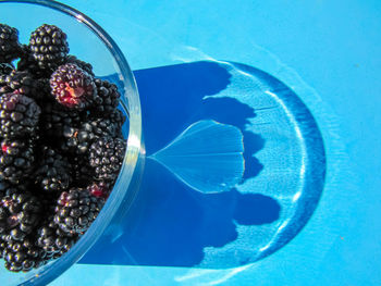 High angle view of berries in glass bowl